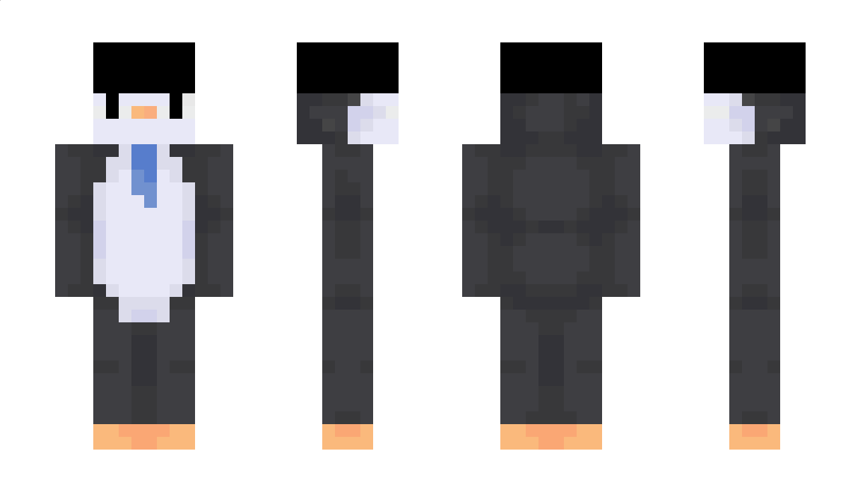 Ecolpse Minecraft Skin