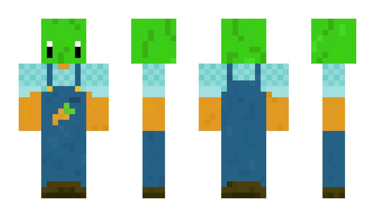 Ruebwinni Minecraft Skin