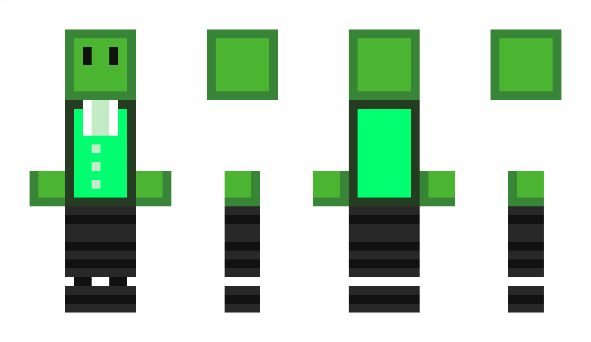 Trtlz0 Minecraft Skin