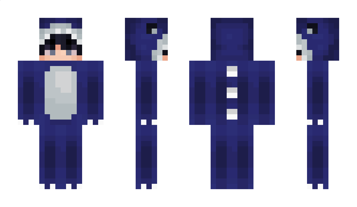 EinCuterPinguin Minecraft Skin