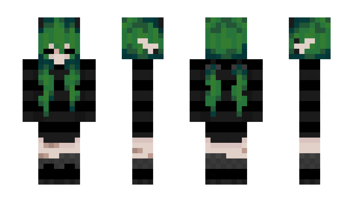 Its_Not_Ari Minecraft Skin