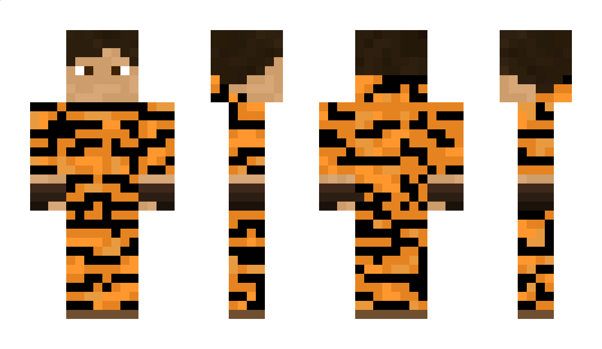 goodtiger_ Minecraft Skin