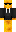 Foxware77 Minecraft Skin