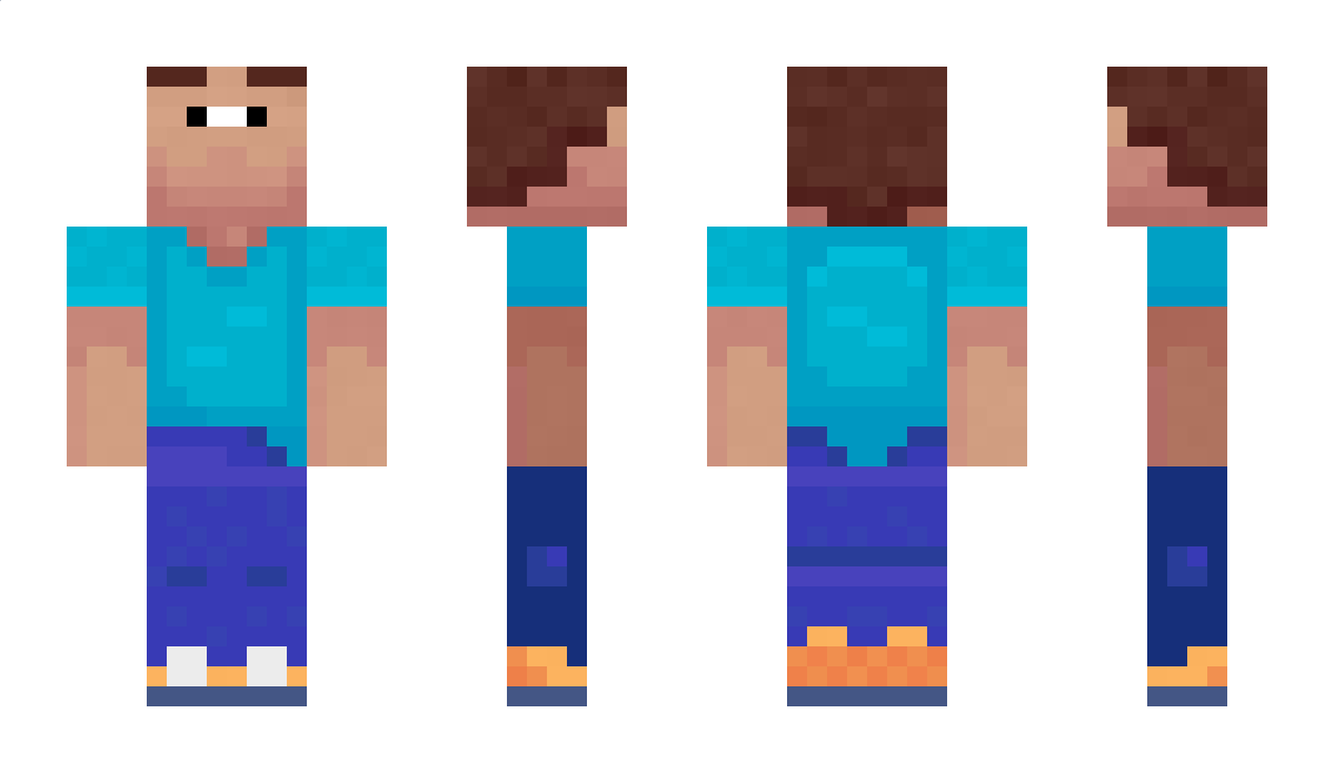 Skinmc