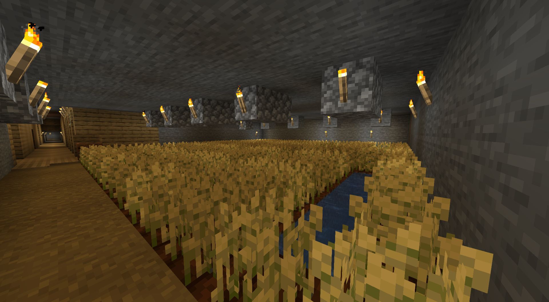 Underground Farm